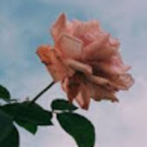 Meet your Posher, Chloe